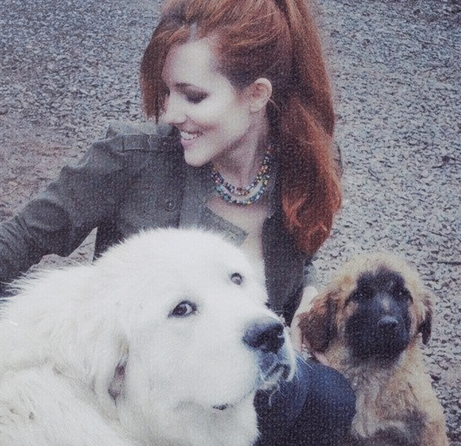 A woman kneeling outdoors beside a large white dog and a small tan puppy