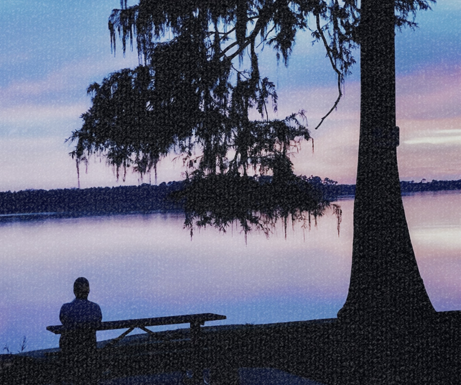A person seated at a picnic table beside a still lake at dusk, framed by a moss-draped tree